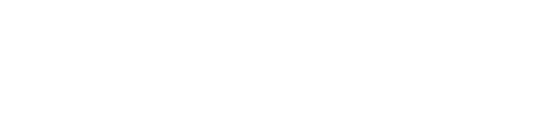 Tur-consulting